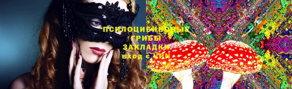 дживик Баксан