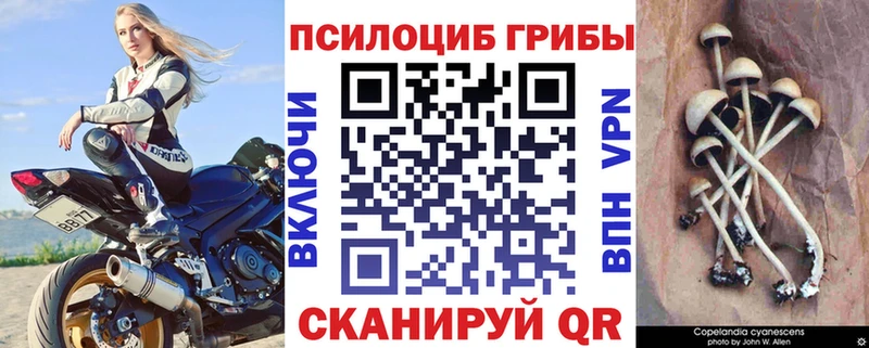 Галлюциногенные грибы мицелий  Купить  Тайга 